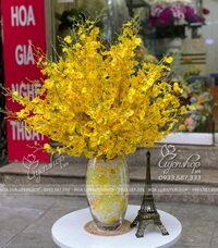 BÌNH HOA LAN VŨ NỮ