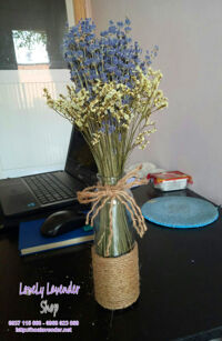 Bình hoa lavender khô( L03)