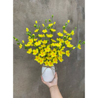 Bình Hoa Mai Kẽm nhung