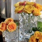 Bình Hoa Pha Lê Cao Cấp Bakala Passion