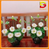 Bình Hoa Sen Lụa Cung Đình Cao Cấp Hoa Giả Trang Trí Cao 50cm Decor Bàn Trà Kệ Tủ DC-166