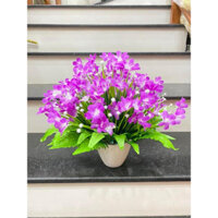 bình hoa thuỷ tiên cắm sẵn cao 30cm