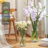 bình hoa thủy tinh 8x20, bình thủy tinh cắm hoa