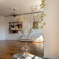 Bình hoa thủy tinh chai to, miệng nhỏ dùng để cắm cành