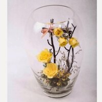 Bình hoa thủy tinh chum 16