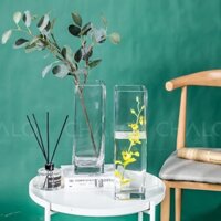 bình hoa thuỷ tinh dáng vuông