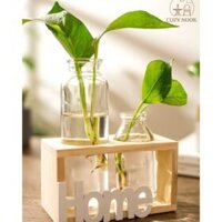 Bình hoa thủy tinh Ghome