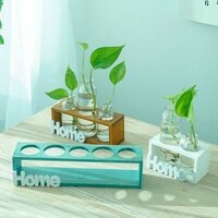 Bình Hoa Thủy Tinh Home Thẩm Mỹ Gỗ Tinh Tế C&M HOME Sắc Màu Tự Nhiên Cho Ban Công Và Nội Thất Đẹp Hoài Bão