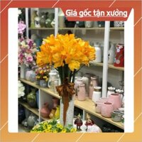 Bình hoa thủy tinh trụ tròn D10xH25, Lọ cắm hoa hình trụ trang trí*BAO BỂ VỠ*