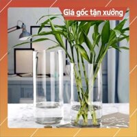 Bình hoa thủy tinh trụ tròn D12xH15, Lọ cắm hoa hình trụ trang trí*BAO BỂ VỠ*