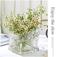 Bình Hoa Thủy Tinh  Vuông Miệng Sóng - Lọ Hoa Vuông Đẹp Trang Trí