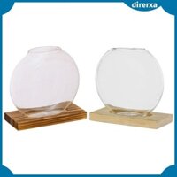Bình hoa trồng thủy tinh Terrarium Chậu hoa