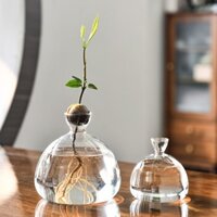 Bình khởi động hạt giống Kesoto, Bình trồng cây trong suốt Bình trồng cây Terrarium Bình cho văn phòng, sân vườn, nữ