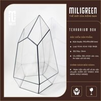 Bình kính Terrarium ( HỒ DÁN SẴN ).