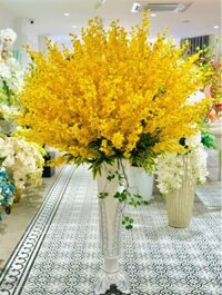 Bình lan vũ nữ vàng composite CAO