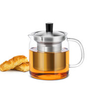 Bình Lọc Trà thủy tinh lõi Inox Samaglas S042 500ml