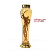 Bình Ngâm Rượu Đẹp 2,5L NO27