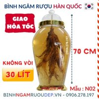 Bình ngâm rượu Hàn Quốc 30 Lít Mã : NO2