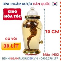 Bình ngâm rượu Hàn Quốc 30 Lít Mã : NO2 VALVE