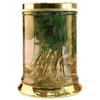 Bình ngâm rượu N28-27,5 Lít