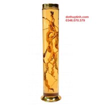 Bình Ngâm Rượu Sâm 8,5L NO43