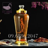Bình ngâm rượu sâm thủy tinh 3L , 4L , 6L