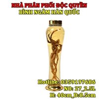 Bình ngâm rượu thủy tinh Hàn Quốc 2,5L NO.27| Mẫu mới