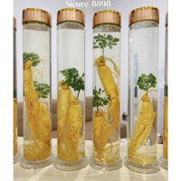 Bình Ngâm Rượu Thủy Tinh Ngâm Sâm Nắp Xoáy Cao Cấp (1 Lít, 1.5 Lít, 2.5 lít)