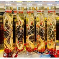 Bình ngâm rượu thuỷ tinh trụ nắp vàng ngâm sâm gioăng cao su có khóa 1L 2,5L