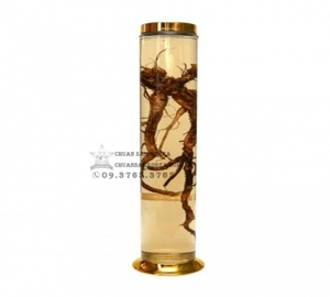 Bình ngâm rượu Yongcheon N36 - 2 lít