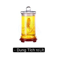 Bình Ngâm Thủy Tinh 10 Lít Dáng Trụ Thân Trơn – TT10L