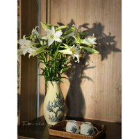 BÌNH NGỌC NỮ - Hoạ tiết cành hoa - gốm Chu đậu