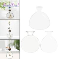 Bình nhân giống hạt thủy tinh MagiDeal - dành cho những người đam mê thực vật