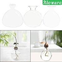 Bình nhân giống thanh lịch - dành cho người hâm mộ thực vật
