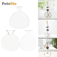 Bình nhân giống thanh lịch PETSOLA - dành cho người hâm mộ thực vật