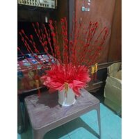 bình nụ tầm xuân