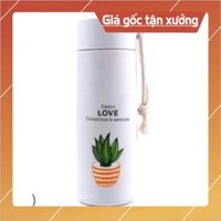 Bình nước in hình xương rồng nhiều màu 400ml cute