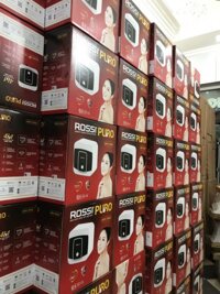 Bình Nước Nóng Rossi 20L