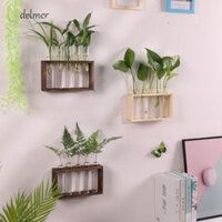 Bình ống nghiệm DELMER, Khung gỗ 3 / 5 Thử nghiệm thủy canh Hộp đựng cây thủy canh, Bình đựng ống nghiệm Kính trong suốt Retro Glass Planter Để bàn