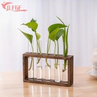 Bình ống nghiệm DFGF, Khung gỗ 3 / 5 Kiểm tra cây thủy canh Hộp đựng, Bình ống nghiệm Kính trong suốt Bình thủy tinh cổ điển Trang trí nội thất