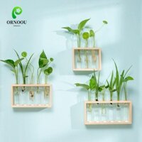 Bình ống nghiệm ORNOOU, Hộp đựng cây thủy canh thủy canh thủy tinh trong suốt cổ điển, Bình ống nghiệm Khung gỗ 3 / 5 Máy trồng thủy tinh thử nghiệm Trang trí văn phòng sân vườn