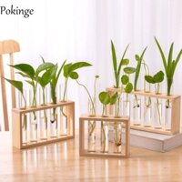 Bình ống nghiệm POKINGE, Hộp đựng cây thủy canh cổ điển bằng thủy canh thủy canh trong suốt, Giá đỡ đồ trang trí nhà Khung gỗ 3 / 5 Máy trồng thủy tinh thử nghiệm để bàn