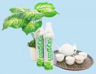 BÌNH OXY MINI DỰ PHÒNG