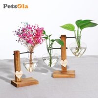 Bình PETSOLA Vintage Máy Tính Để Bàn Terrarium Chậu Trồng Nước