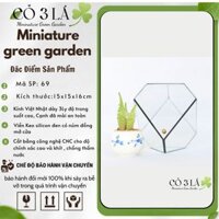 Bình Terrarium, Bể kính (hồ sẵn) mã bình 69