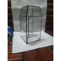 bình terrarium