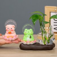 Bình thủy sinh kèm tượng Thú Ngồi Thiền.Tĩnh Tâm, An Yên Go Home biểu cảm đáng yêu để bàn làm việc