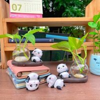 Bình Thủy Sinh Trồng Cây Kèm Tượng Gấu Trúc Panda Trang Trí Để Bàn, Decor, Làm Quà Tặng The Toylab