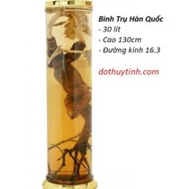 BÌNH THỦY TINH 30 LÍT NO23