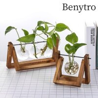Bình thủy tinh BENYTRO Trang trí nội thất Terrarium Để bàn Chậu hoa